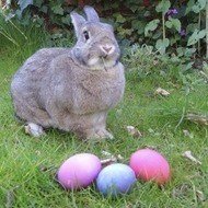 Easter