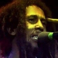 1981